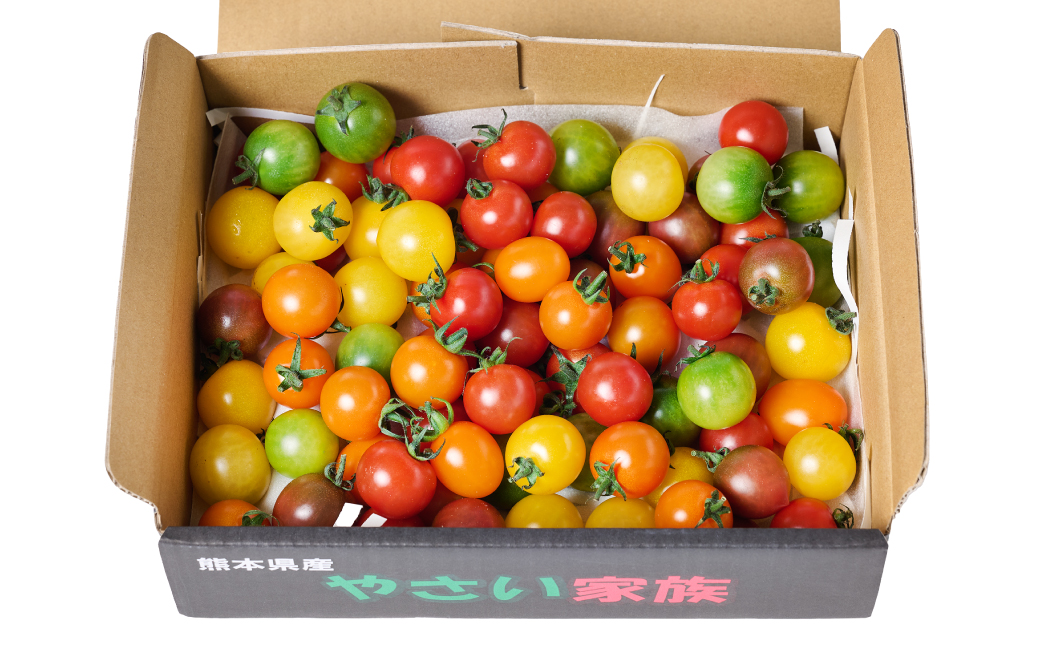 カラートマト1kg トマト とまと ミニトマト プチトマト 野菜 やさい 旬の野菜 新鮮な野菜 地元産野菜 旬のやさい 新鮮なやさい ご当地 国産 特産品 お取り寄せ ギフト プレゼント 家庭用 食卓