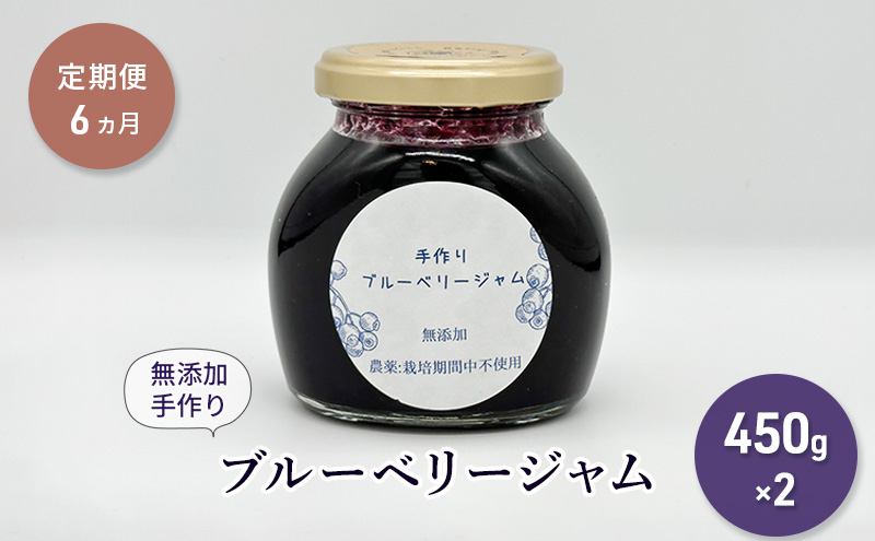 
【定期便6カ月】北海道 豊浦町産 無添加手作り ブルーベリージャム450g×2個
