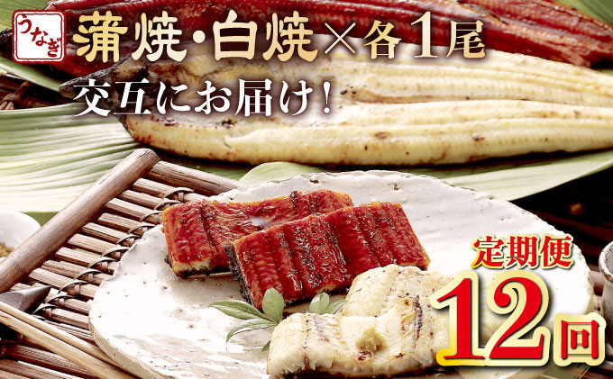 
                  蒲焼き・白焼きを交互にお届け！国産うなぎ１尾【全１２回定期便】 _ うなぎ 鰻 ウナギ 1尾 国産 高知県産 蒲焼き 白焼き かばやき 冷凍 うな重 ひつまぶし タレ ランキング 人気 12回 定期便 うなぎ定期便 鰻定期便 頒布会 高知県 室戸市
                