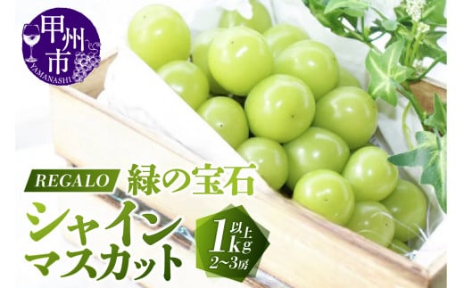 頬張る幸福感 ～緑の宝石・シャインマスカット～ 1kg以上（2～3房）【2026年発送】（RG）B-840