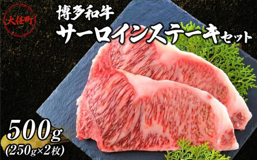 博多和牛サーロインステーキセット　500ｇ（250ｇ×2枚）【牛肉 肉 博多和牛 和牛 サーロイン ステーキ セット 500g 国産 福岡 九州 博多 送料無料 福岡県 大任町 AN021】