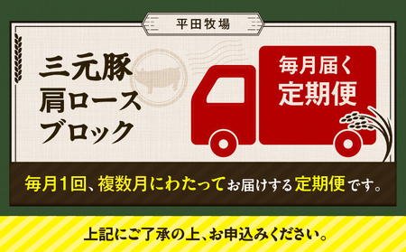 【 全6回 毎月 定期便 】 日本 の 米育ち 平田牧場 三元豚 肩ロース ブロック 600g T036-T10-02 定期 肉 お肉 にく 豚 豚肉 ブタ ぶた 生姜焼き トマト煮 黒豚 冷凍 バー
