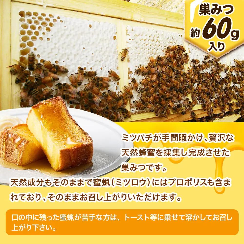 天然国産アカシア蜂蜜（巣蜜入り）205g×2個