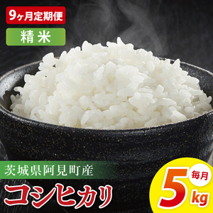 【9ヶ月定期便】阿見町産コシヒカリ　精米　5kg｜精米 定期便 お米 米 こめ コメ ごはん 白米 阿見町 茨城県 茨城県産 茨城県産米 安心 安全 送料無料 国産 人気 数量限定 高評価（85-94）