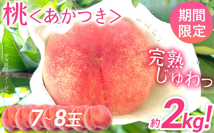 
                  桃 あかつき 先行予約 期間限定 約2kg（7～8玉） 数量限定 農家直送 樹上完熟 完熟 果汁 もも モモ 果物 フルーツ ジューシー 【7月上旬頃より順次出荷予定】
                