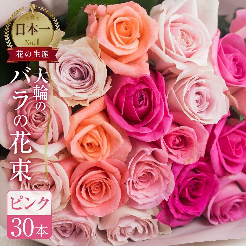 【ふるさと納税】バラ 花束 大輪 ピンク 30本 (40cm) ピンクミックス ブーケ 薔薇 ローズ 生花 母の日 遅れてごめんね 観賞用 プレゼント 花 ギフト 誕生日 植物 フラワー 土壌栽培 産地直送 田原市 人気 切り花 切花