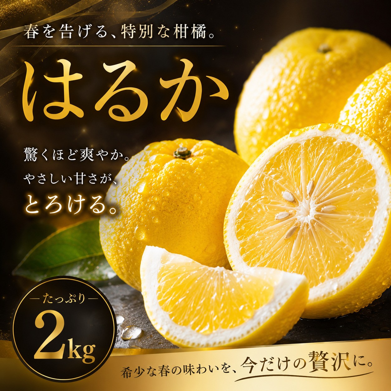 
                  【選ぶならこれ】 酸味ほぼなし 【はるか】 2kg 愛媛県産 【2027年2月上旬頃から順次発送】 | みかん ミカン mikan 蜜柑 訳ありフルーツ 柑橘 果物 おすすめ お勧め お取り寄せ ギフト 愛媛県 松山市
                
