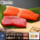 【ふるさと納税】お刺身 セット サーモン 100g × 2P ＆ 本まぐろ 中トロ 100g ×1P【福井県 冷凍 小分け 刺身 鮭 サケ さけ マグロ 鮪 】