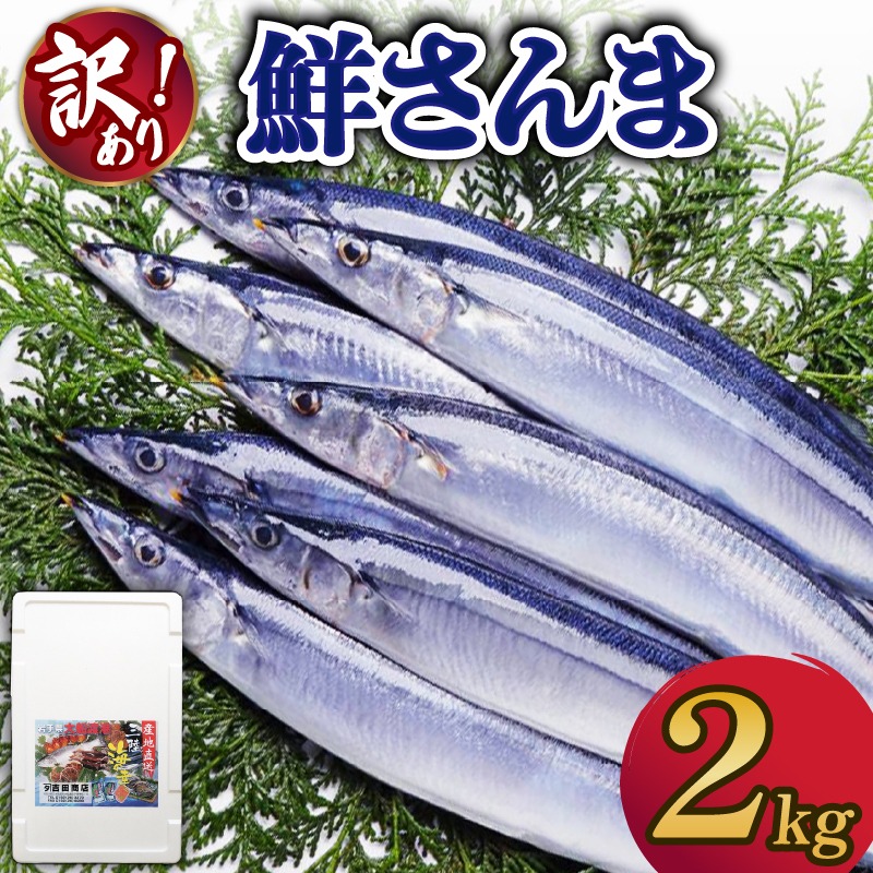 【2026年先行予約】訳あり 鮮さんま 約2kg 冷蔵 さんま サンマ 秋刀魚 生さんま 【 yoshidasyouten013_y】