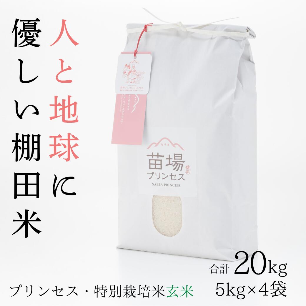 【ふるさと納税】【令和8年産先行予約】 玄米 20kg ( 5kg × 4袋 ) 魚沼産 コシヒカリ 苗場プリンセス 特別栽培米 | ブランド米 こしひかり 米 こめ お米 農薬化学肥料5割減 新潟県 津南町