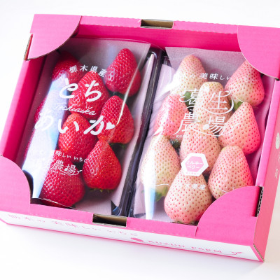 紅白いちご(とちあいか、ミルキーベリー)大粒 詰め合わせ(300g×1パックずつ)【1484008】
