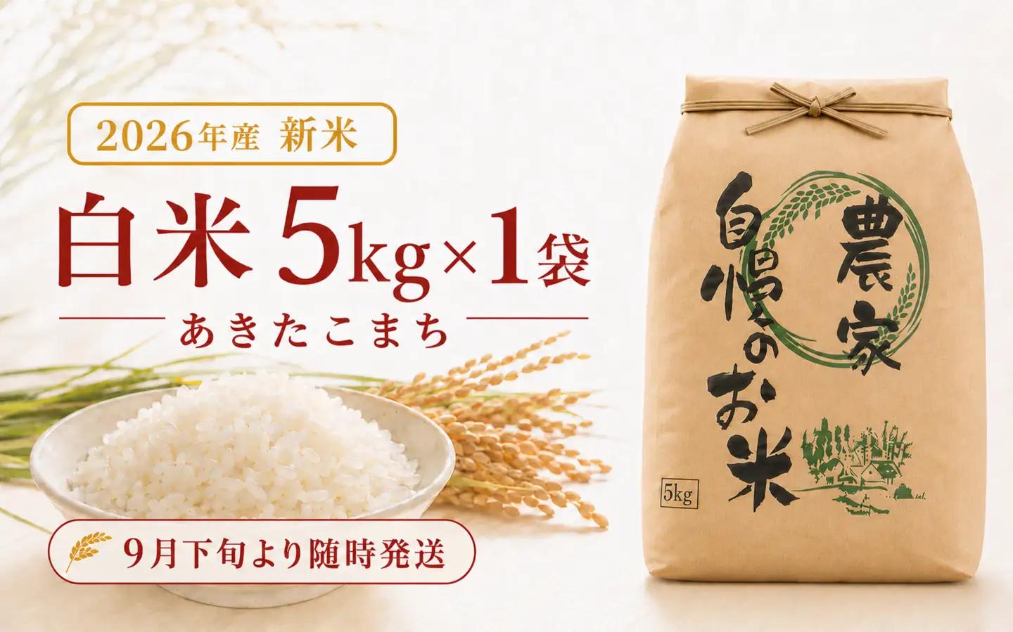 限定100件【新米・先行予約】あきたこまち5kg 信濃町産 令和8年 精米 2026年9月下旬発送予定 黒姫山麓 霧下 米 長野県信濃町
