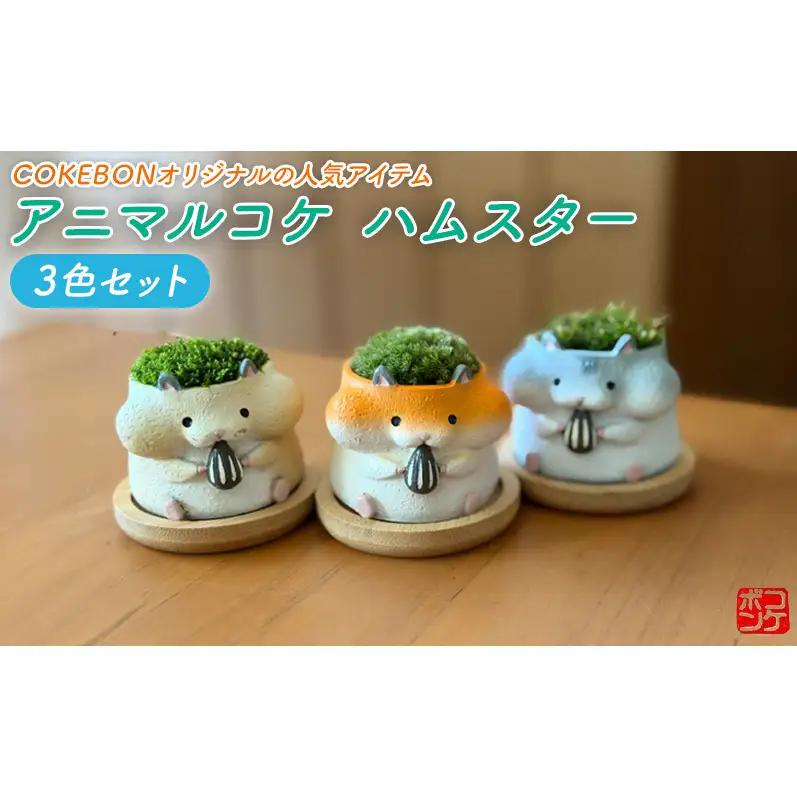 アニマルコケ ハムスター 3色セット アニマル 鉢 置物 インテリア 雑貨
