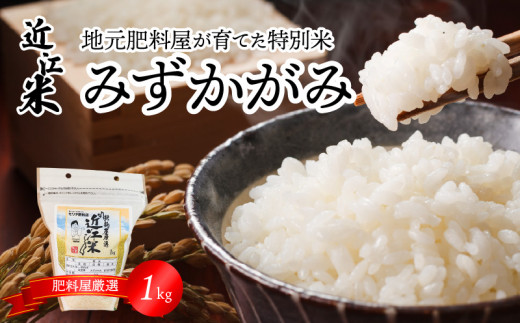 【令和7年度産】肥料屋厳選近江米みずかがみ１㎏  厳選 近江米  DI-0004