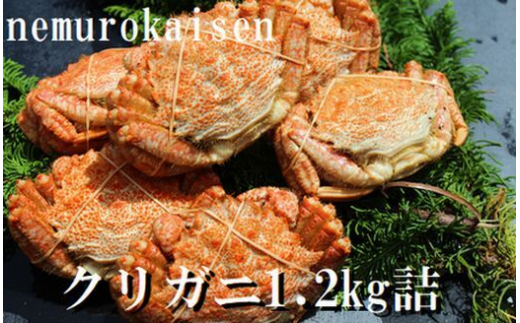 A-57056 【北海道根室産】クリガニ200～250g×5～6尾(計1.2kg) 【12/31決済分まで1月中配送】