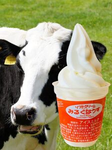 おウチで食べる北海道牛乳ソフトクリームセット8個入り