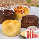 【ふるさと納税】濃厚ショコラ・チーズケーキ (合計10個・2種×5個) チーズケーキ チーズ スイーツ 冷凍 お菓子 おやつ 焼き菓子 お取り寄せ 大分県 佐伯市【AJ75】【(有)ケーキ大使館クアンカ・ド−ネ】