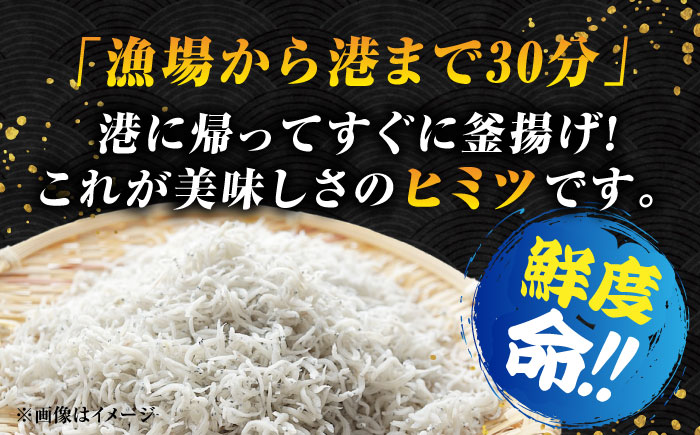 【全12回定期便】鮮度抜群＆水分率80％!ふわふわ釜揚げしらす 1kg 冷凍 シラス 鮮魚 ギフト 海鮮丼 広島県 江田島/三島水産株式会社 [XCN010] 定期便