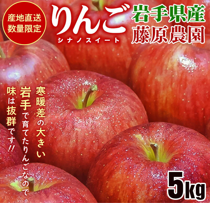 【ふるさと納税】先行予約《2024年10月中旬～発送》藤原農園のりんご『シナノスイート』5kg 14玉～20玉 果物類 美味しい 産地直送 大人気 果汁 果肉 トップランク 食感 絶品 甘い 　お届け：2025年10月中旬～2026年3月末
