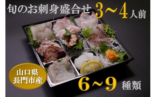 「旬のお刺身盛合せ」地魚 3～4人前【刺身セット 刺身 盛り合わせ 冷蔵 刺身の盛り合わせ さしみ 仙崎 新鮮 配達不可エリア有り 新潟 関東 東北 北海道 沖縄 配達不可 配送日時指定可能】