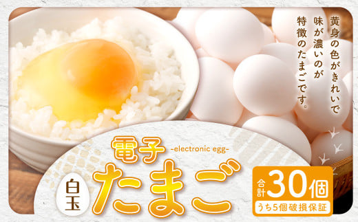 【2026年2月発送】電子たまご（白玉） 30個 卵 たまご 白玉 ZS-534-2