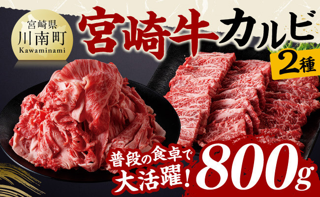 
            宮崎牛カルビ焼肉・切り落としセット合計800ｇ【 肉 牛肉 国産 黒毛和牛 宮崎牛 焼肉 宮崎県 川南町 】
          