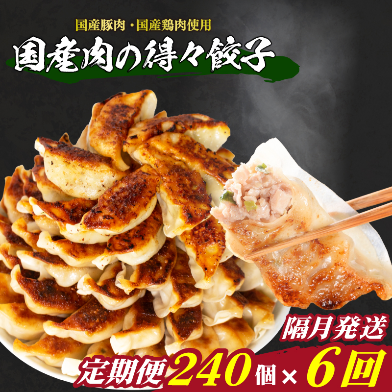 訳あり 国産肉の得々餃子 6回 隔月 定期便 240個 20個×12パック 冷凍