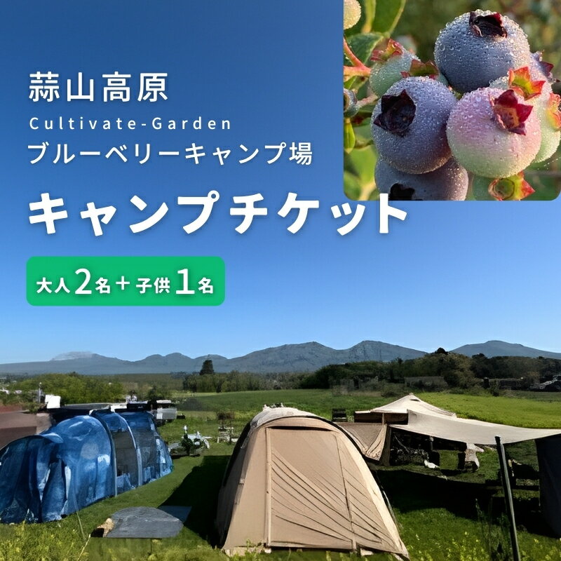 【ふるさと納税】 蒜山高原 ブルーベリーキャンプ場 デイキャンプ or オートキャンプ チケット / 岡山県 真庭市 蒜山 カルチベートガーデン 旅行 家族旅行 体験 自然 ブルーベリー レジャー アウトドア ソロキャンプ チケット 引換券 子供 夏休み
