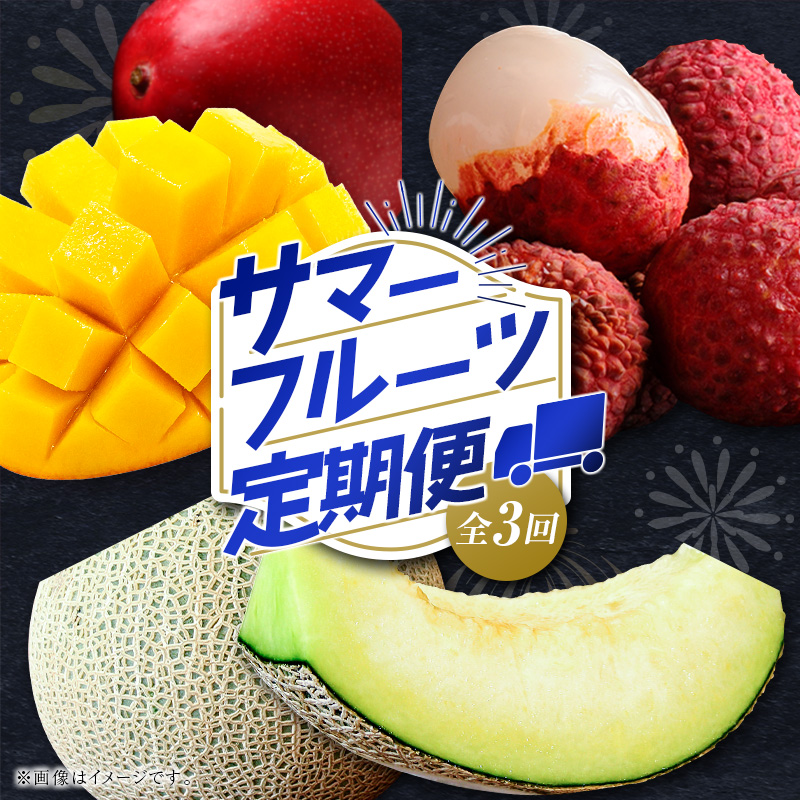 サマーフルーツ定期便 全3回＜メロン・マンゴー・ライチ＞ ※2026年5月開始 旬 果物【E244-26】
