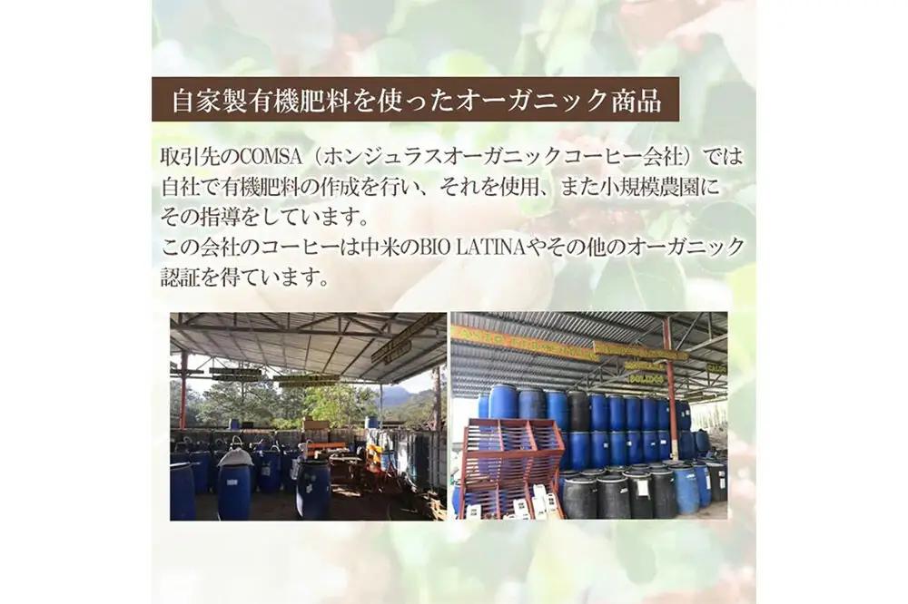 コーヒー豆 自家焙煎 ホンジュラス スペシャルティコーヒー 焙煎豆 200g 豆のまま【味わいおまかせ】