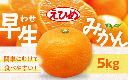 みかん【11月中旬から順次発送】温州みかん（早生）5kg みかん[AGAW016]