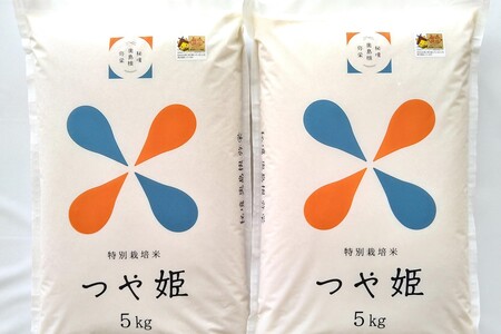 【令和7年産】【定期便】弥栄町産特別栽培米「秘境奥島根弥栄」つや姫5割減（10kg×12回コース）【090_1871】