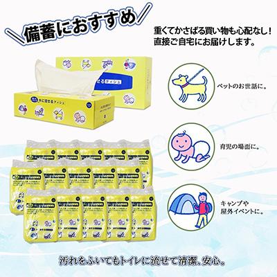 ふるさと納税 倶知安町 【2ヵ月毎定期便】とけまるくん ボックスティッシュ 20箱 ポケットティッシュ 120個 全6回 |  | 02