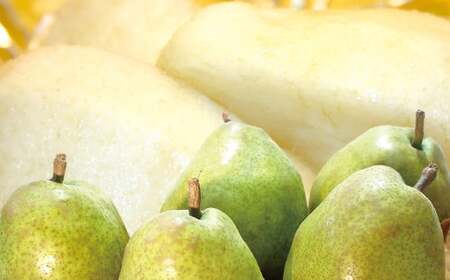 【令和7年産先行予約】 ラ・フランス 約3kg (8～12玉 秀 L～2L) 《令和7年11月下旬～発送》 『Yamagataうまいな中村屋』 梨 果物 フルーツ 山形県 南陽市 [1743]