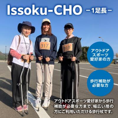 ふるさと納税 大分市 ウォーキングポール Issoku-CHO( 1足長) ブラックシルバー 1本_R17007 |  | 01