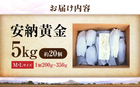 さつまいも【厳選】熟成安納黄金 5kg[AQCF011]サツマイモ