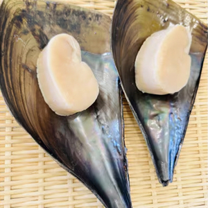 愛知県産平貝(タイラギ)干物　(塩味・醤油味 各2パック)セット 冷凍 干物 貝 魚介類 醤油 塩 しお しょうゆ  平貝 タイラギ かい カイ 魚貝 魚介 海鮮 刺身 平貝 タイラギ たいらがい か