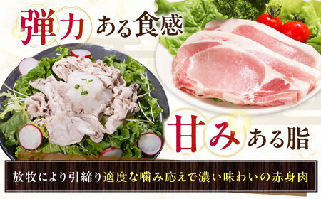 放牧豚ロース 豚丼の具 計1280g（160g×8）《厚真町》　【ファーマーズファクトリー株式会社】[AXBA143]