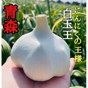 【数量限定】青森県産熟成黒にんにく【黒玉王】750g【配送不可地域：離島】【1591854】