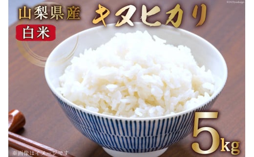 【期間限定発送】 米 令和6年産 キヌヒカリ 5kg [大成農房 山梨県 韮崎市 20743082] お米 おこめ こめ コメ ご飯 ごはん 精米 白米 きぬひかり 5キロ 令和6年 家庭用 国産 期間限定 数量限定