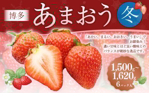 博多あまおう6パック（冬） 250g～270g×6パック 合計約1500g～1620g あまおう いちご 苺 イチゴ フルーツ 果物 くだもの【2025年12月上旬-2026年1月下旬発送予定】