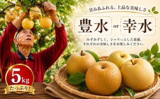 【2026年8月中旬頃から発送】 先行予約 豊水梨 5kg 【井手上農園】 梨 なし ナシ こだわりの梨 nasi 豊水 ほうすい ホウスイ 季節限定 数量限定 フルーツ 果物 豊水梨 ほうすいなし ホウスイナシ housuinasi 福岡県川崎町