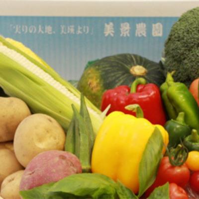ふるさと納税 美瑛町 ≪令和7年産先行受付!≫美景農園　夏野菜セット |  | 01