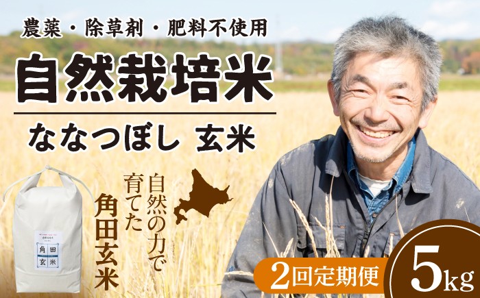 【2回定期便】玄米 自然栽培米 令和8年産 ななつぼし 5kg [AXAR007]