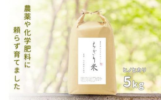 
【令和6年新米・先行受付】ひのひかり ちぎり米 5kg【佐賀県産 米 コメ ヒノヒカリ 夢しずく 精米 白米】A6-C091001
