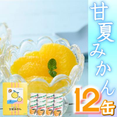 ふるさと納税 宇城市 【 JA 熊本うき】三角特産 甘夏みかん缶詰 12缶入り★