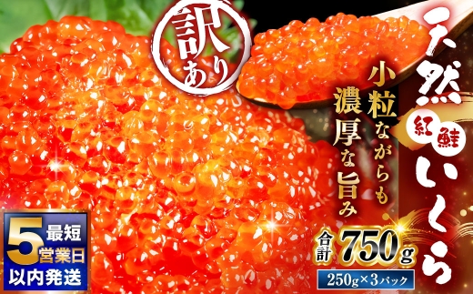 【 最短5営業日以内発送 】 天然紅鮭いくら醤油漬け 750g （ 250g × 3 ） いくら イクラ 海鮮 天然紅鮭 魚卵 卵 イクラ丼 いくら丼 手巻き寿司 小粒 魚介類 魚介 寿司 丼 冷凍 旨味