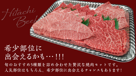 【常陸牛】焼肉セット 800g (400g×2パック） (茨城県共通返礼品)