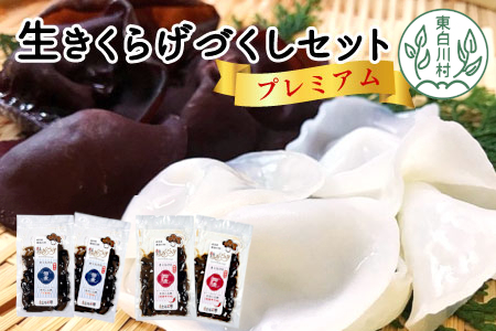 プレミアム！杜のきくらげづくしセット 国産 東白川村産 食物繊維 生きくらげ きくらげ 白きくらげ 22000円