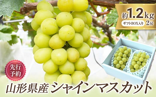 山形県産 シャインマスカット 2房 約1.2kg前後  マスカット ぶどう ブドウ 葡萄 デザート フルーツ 果物 くだもの 果実 食品 山形県 FSY-0579